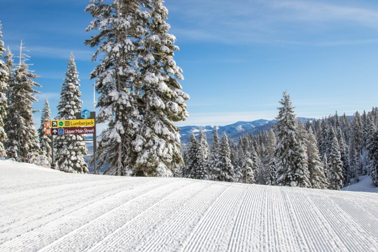 What Month is Best To Go Skiing